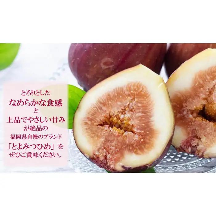 【福岡限定ブランド】いちじく とよみつひめ 約1.2kg （ 300g×4パック）| いちじく 福岡県産 果物 フルーツ とよみつひめ 福岡県 大川市