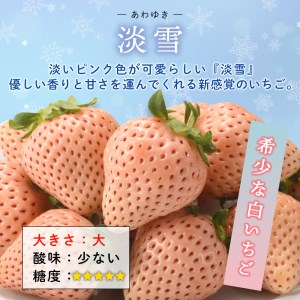 こおりいちご 1kg 淡雪 ／ 冷凍いちご【A042】