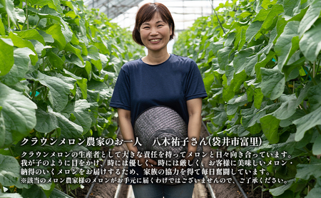 クラウンメロン 山等級 マスクメロン 青肉 クラウンメロン【中玉 1.3kg前後 2玉】