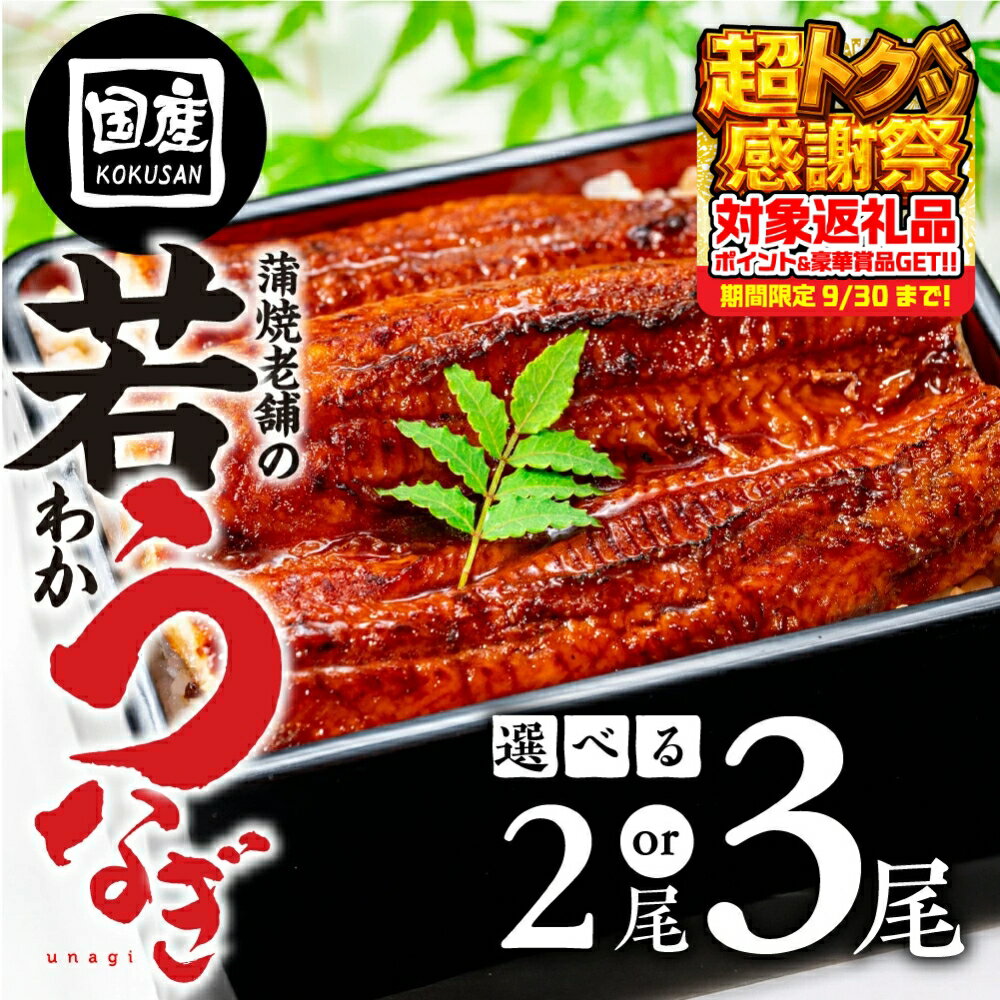 【ふるさと納税】 国産若うなぎ 2尾〜3尾 選べる 定期便 3回 6回 12回 3ヶ月 6ヶ月 1年 老舗 国産うなぎ セット 詰め合わせ 蒲焼 ウナギ 2尾 3尾 厳選 冷凍 土用 丑の日 土用の丑の日 鰻 国産 高級 蒲焼 お歳暮 お中元 unagi 土用 豊橋うなぎ 愛知県 豊橋市 10000円 13000円