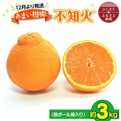 【ふるさと納税】【1月より発送】あまい柑橘!不知火 3kg(7・8玉または10・12玉)段ボール箱入り【1134445】