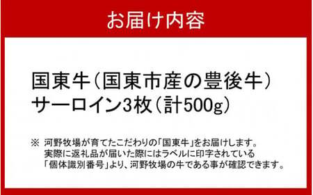 2213R_国東牛（国東市産の豊後牛）サーロイン3枚（計500g）