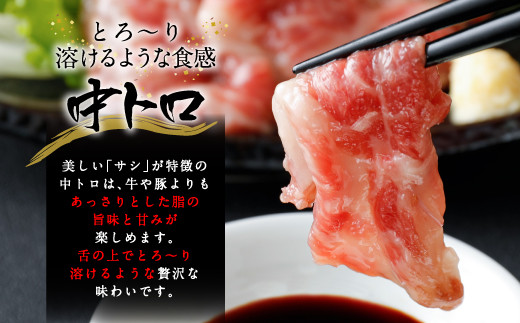 国産馬刺し 上ロース(上赤身) 中トロ タテガミ 盛合せ 合計約420g