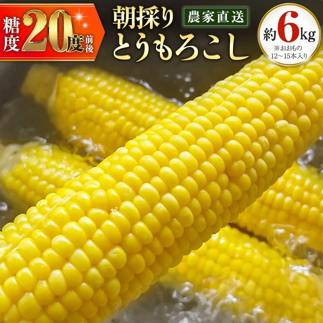 とうもろこし 6kg おおもの 朝採り 農家直送 【 先行予約 2027年7月中旬以降発送】