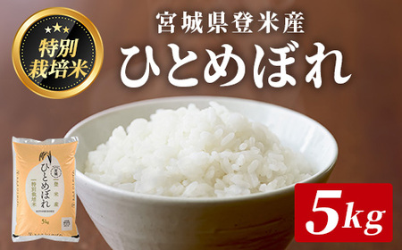 ≪宮城県登米市産≫ ＜令和6年産＞ 特別栽培米 ひとめぼれ 5kg(5kg×1袋) 精米 お米 おこめ 米 コメ 白米 ご飯 ごはん おにぎり お弁当 ブランド米【みやぎ登米農業協同組合】tm399