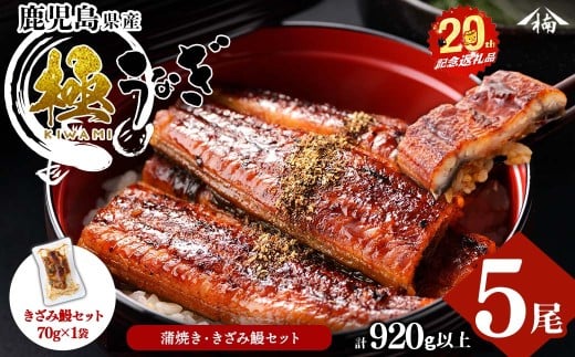 楠田の極うなぎ 蒲焼き 170g以上×5尾(計850g以上) c7-004