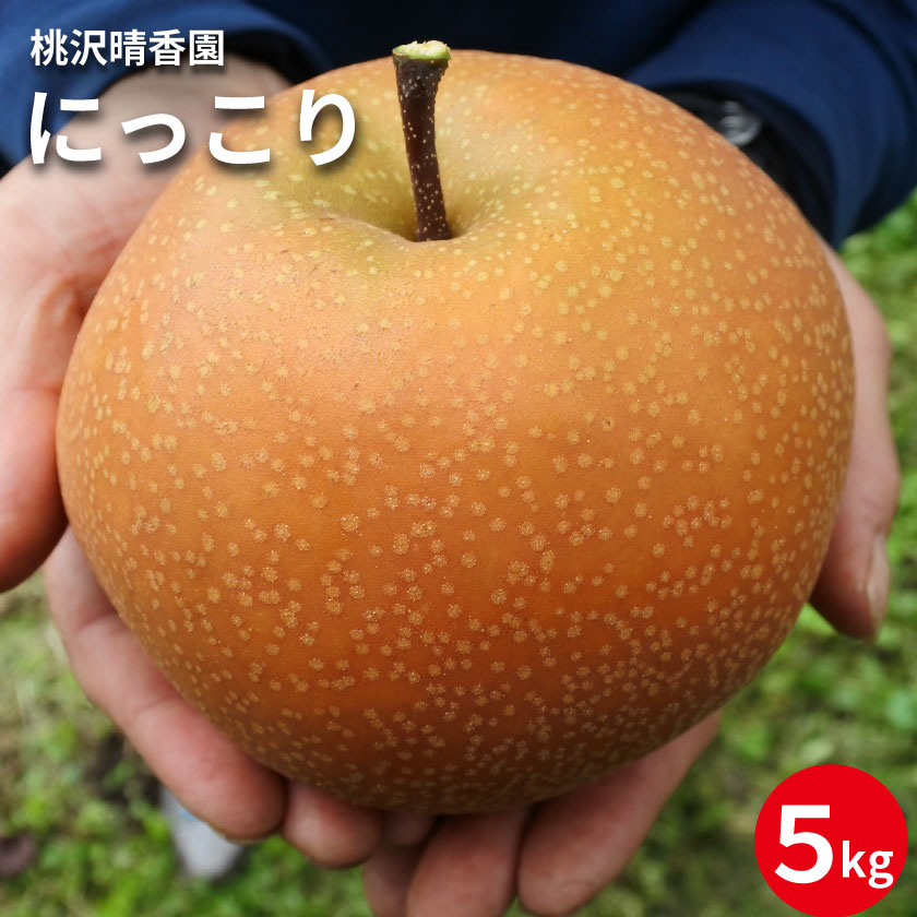 【桃沢晴香園】にっこり　７玉（梨5kg）