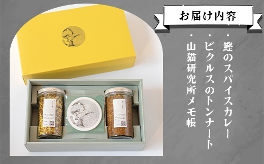 【山猫瓶詰研究所】ギフトセットA 鰹節のトンナート・スパイスカレーのもと・山猫メモ帳 A3−178【1166372】
