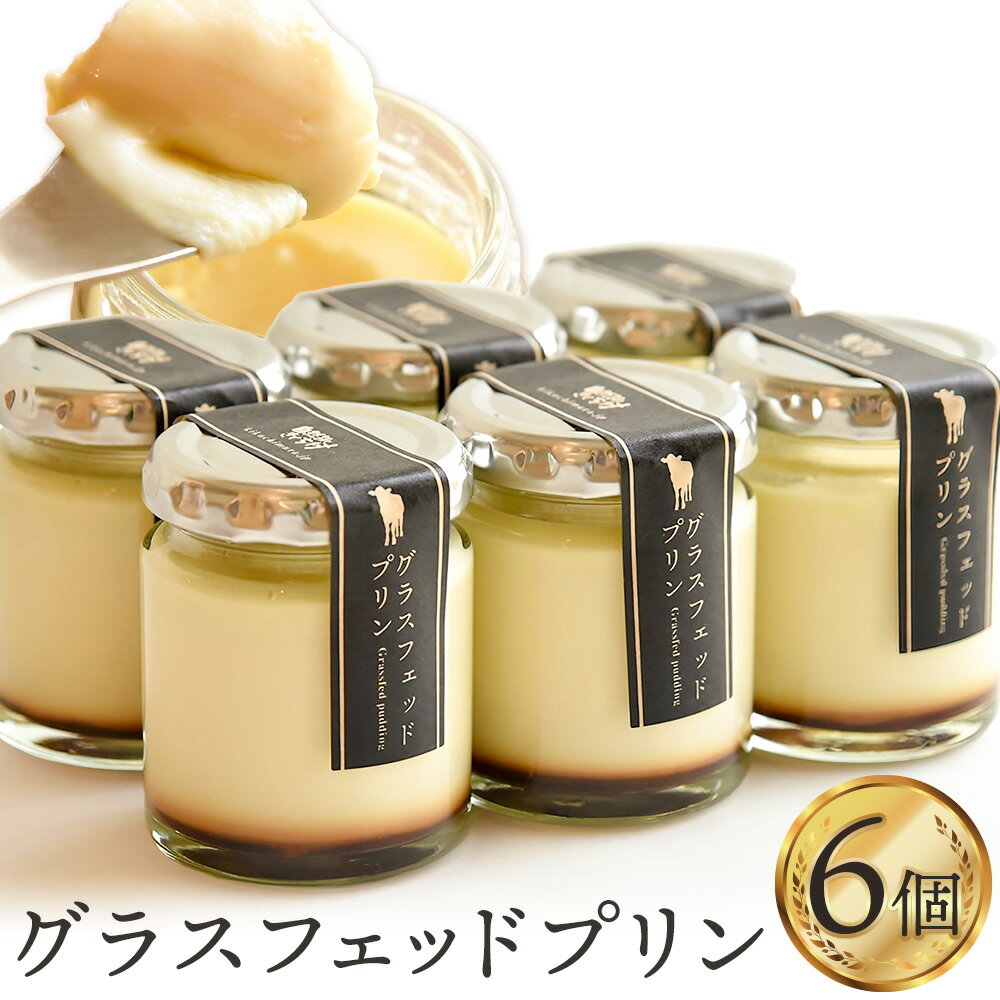 【ふるさと納税】きくち村のグラスフェッドプリン 80g×6個 合計480g 箱付き自然派素材 グラスフェッド ジャージー牛乳 プリン スイーツ 冷蔵 熊本県産 九州産 国産 送料無料 《30日以内に出荷予定(土日祝除く)》
