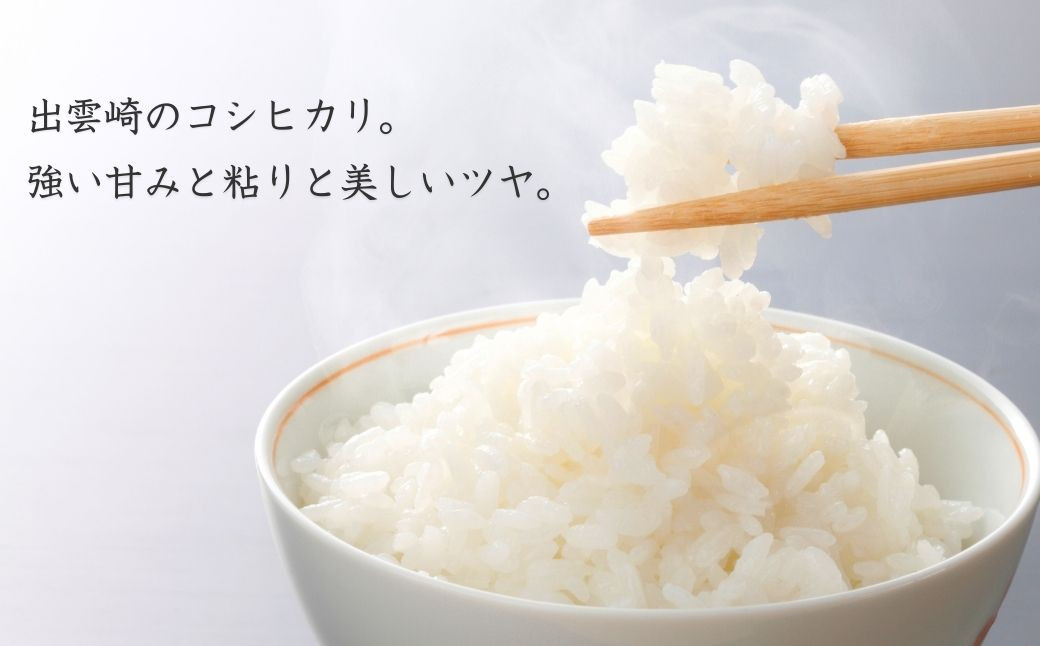 【先行予約 令和7年産 新潟県出雲崎産】コシヒカリ５㎏を農業法人から直接お届けします