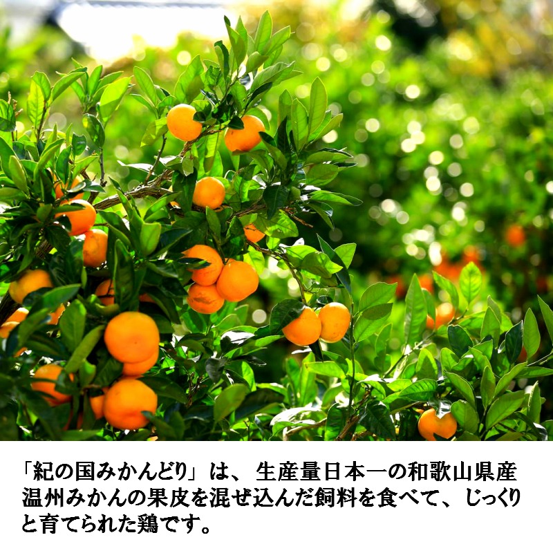 582.紀の国みかんどり　特選唐揚げ40個セット(A582-1)