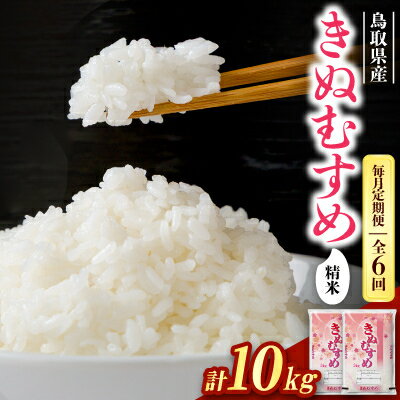 【ふるさと納税】【毎月定期便】【食味鑑定士厳選】鳥取県産 きぬむすめ10kg(5kg×2袋) 精米全6回【4083768】