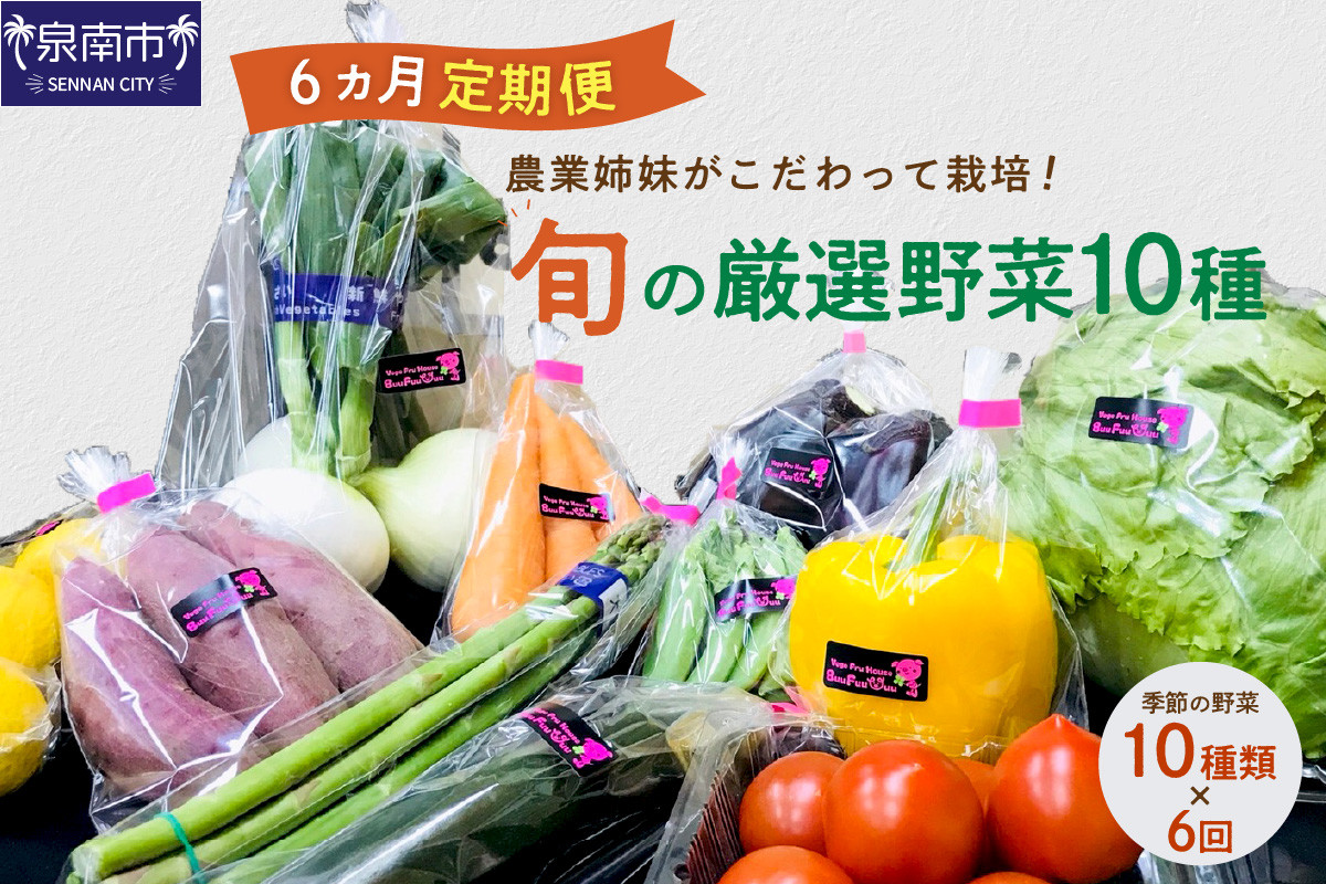 
農業姉妹がこだわって栽培！旬の厳選野菜10種 半年定期便【024A-017】
