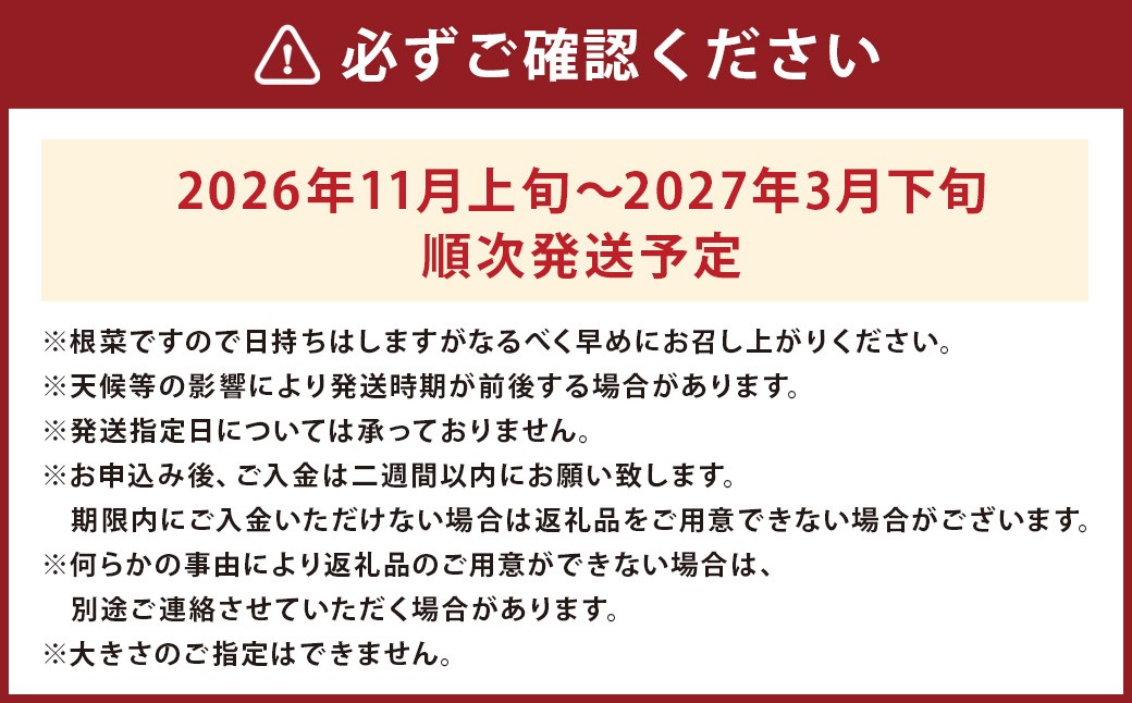 熊本産 紅はるか 約10kg