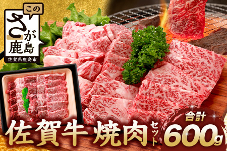 佐賀牛 焼肉セット 600g BBQ バーベキュー 焼き肉 バラ モモ D-191