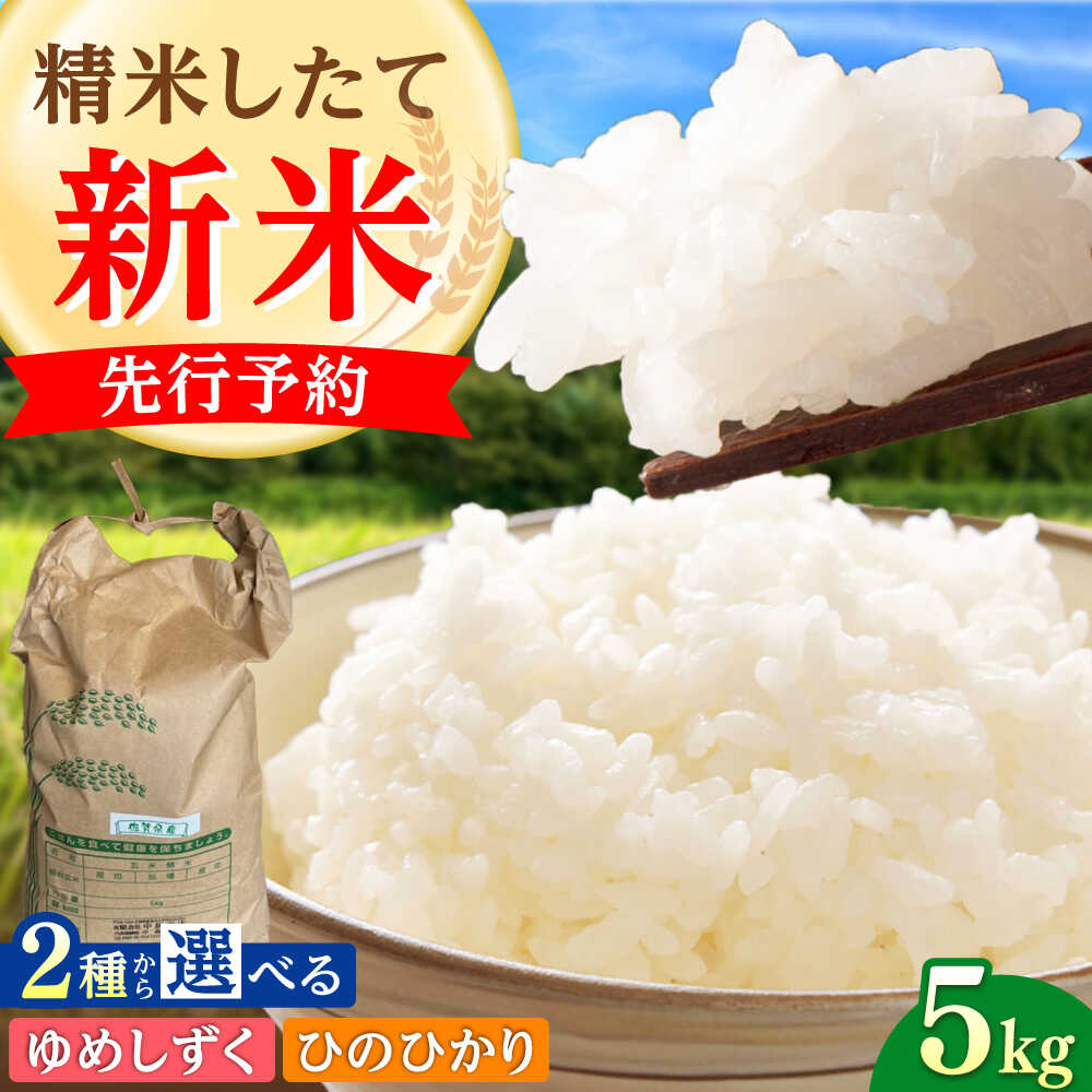 【ふるさと納税】【2025年発送分 先行予約】令和7年産 ゆめしずく or ひのひかり 5kg 白米 / 佐賀県産 お米 米 ブランド米 ふるさと納税 産地直送 / 佐賀県 / 有限会社中島商店[41AGAC002]