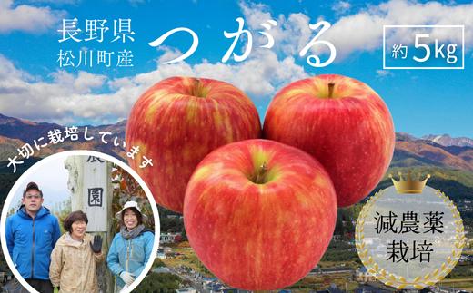 YN06-26A 【先行予約】りんご つがる 約5kg 減農薬栽培 秀品／2026年8月下旬頃から配送予定 // りんご リンゴ 林檎 つがる 減農薬栽培 農家直送 農家支援 長野県 松川町産