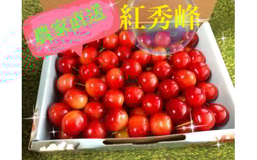 きらっきらの宝石箱 高級品種【紅秀峰】生産者直送【2026年発送】（ISI）B12-157