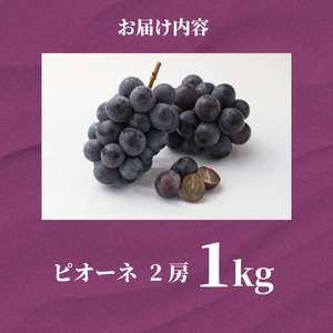 【7月上旬から8月中旬まで発送】ピオーネ 2房 1kg ぶどう 国産