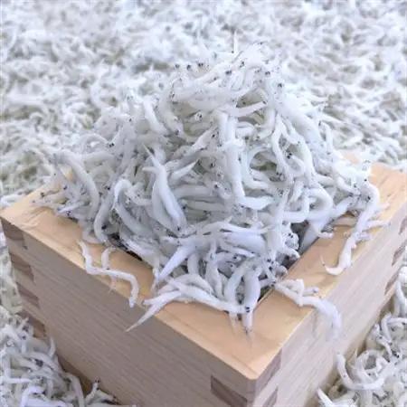釜あげしらす 木箱入り900g【配送不可地域：離島・北海道・沖縄県】【1293078】