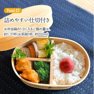 弁当箱 わっぱランチボックス 1段 550ml ベーシック スケーターわっぱランチBOX ランチベルト付き 15-044