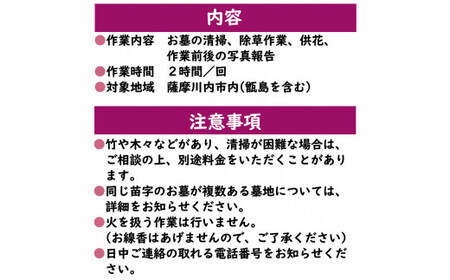 BS-021 ふるさと安心 墓守りｻﾎﾟｰﾄ(供花あり)