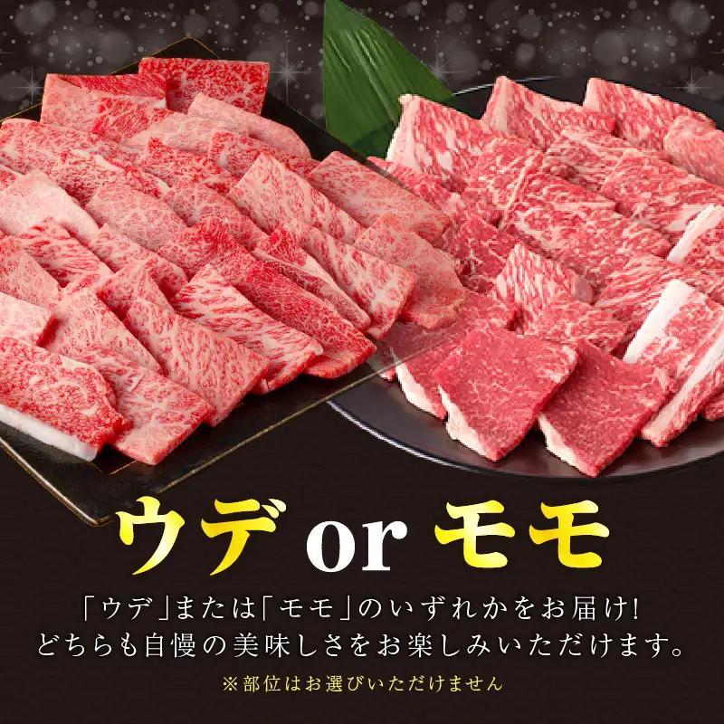 【2週間以内発送】【畜産農家応援!!】≪肉質等級4等級以上≫黒毛和牛赤身焼肉(計500g) 肉 牛 牛肉 国産_T030-0928-2W