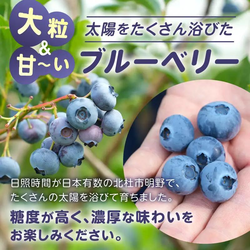 冷凍 ブルーベリー 大粒 ベリー 1,000g [h290]