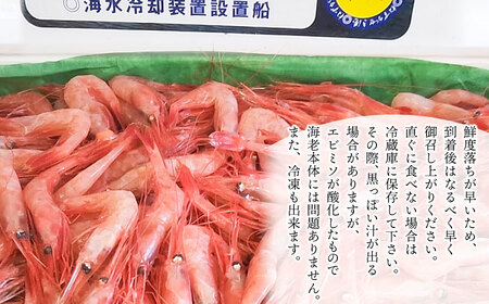 鶴岡市鼠ヶ関港水揚げ　船上箱詰め甘エビ(小) 1.1kg　【市制施行20周年記念返礼品】　羽前丸水産