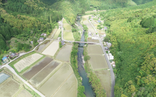 【令和7年産 新米 早期受付 数量限定】 四万十 の 米どころ 山間地域で育てた 大宮米 コシヒカリ 10kg 高知県 高知 しまんと 国産 お米 米 白米 精米 こしひかり 低農薬栽培 ご飯 産地直