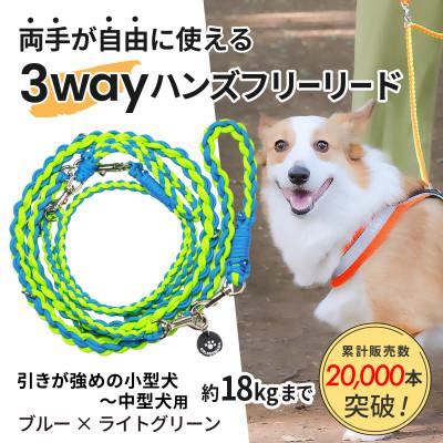 ふるさと納税 掛川市 【犬用】3WAYハンズフリーリード(引き強めの小型〜中型犬)ブルー×ライトグリーン【ゴールデンママ】