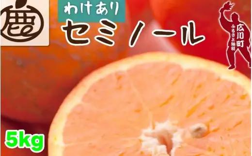セミノール オレンジ 家庭用 5kg+250g（痛み補償分） 光センサー / みかん 甘い 訳あり 柑橘 晩柑 和歌山 有田 ※4月上旬～6月下旬ごろに順次発送 ※北海道・沖縄・離島への配送不可 【ikd016-c-5A】
