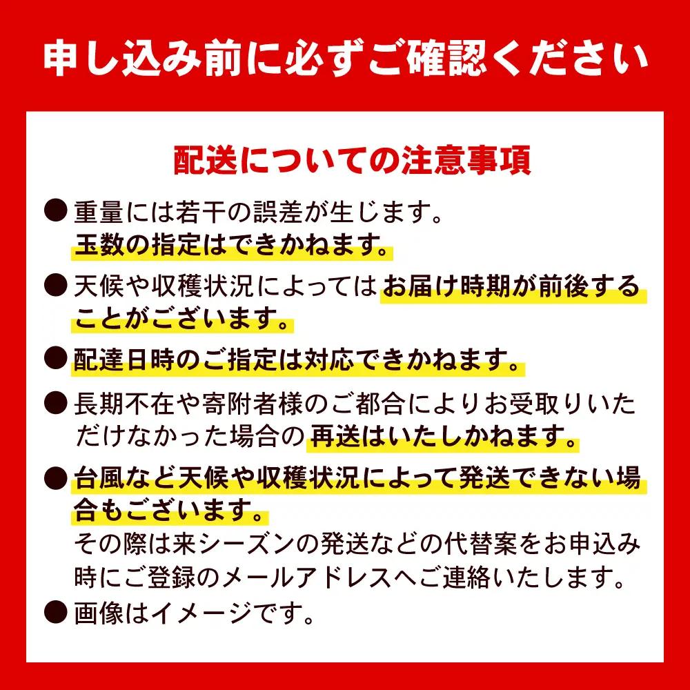マンゴー 【2027年発送】 贈答用 キーツマンゴー 約2kg (2〜5玉 / 化粧箱入り) マンゴー 沖縄 BCAA006