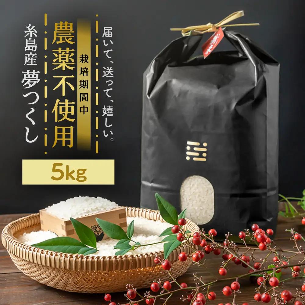 農薬を使わずに育てた 山つき 5kg 夢つくし 吉富町/(株)やました[BGBX013]