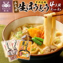 【ふるさと納税】 ほうとう 3000円 山梨 麺 みそ味 常温 無添加 無塩 長期 保存 郷土料理 国産 4人前 2人前×2 k038-004