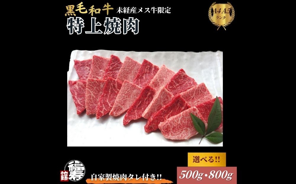 
            ＜選べる容量＞黒毛和牛めす牛 特上焼肉 500g・800g 自家製焼肉のたれ付 ／ ふるさと納税 焼肉 ギフト セット 食材 黒毛和牛 モモ ミスジ イチボ 希少 牛肉 肉 お中元 お歳暮 正月 和牛 食べ物 奈良県 宇陀市 福寿館
          