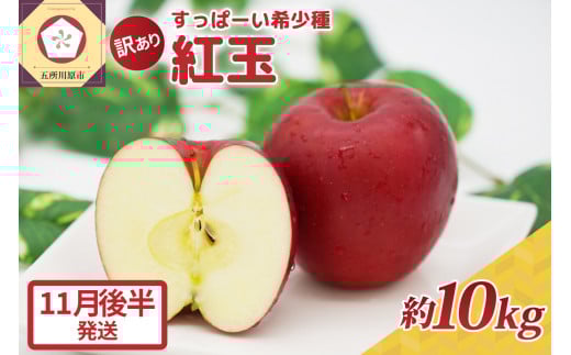 紅玉10kg 程度 紅玉リンゴ 訳あり 青森|タルトタタン に最適 不揃い りんご 【11月後半発送】