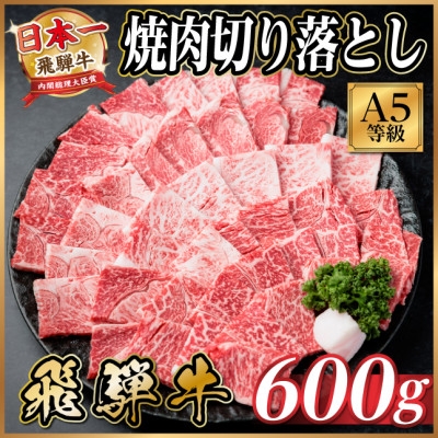 
                  飛騨牛A4～A5等級　焼肉切り落とし　600g(焼肉・BBQ用)【1754449】
                