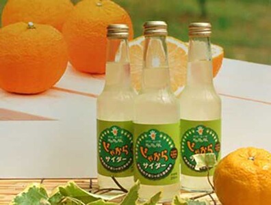 内子からり じゃばらサイダー（250ml×６本入り）【飲料 ソフトドリンク 人気 おすすめ 送料無料】