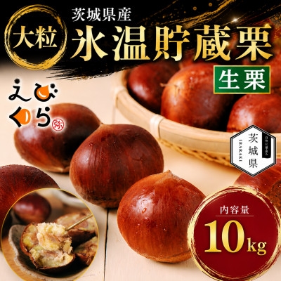 
                  生産者直送 茨城県産 海老澤農園の氷温熟成栗10kg 生栗 大玉 薬剤不使用【1745649】
                