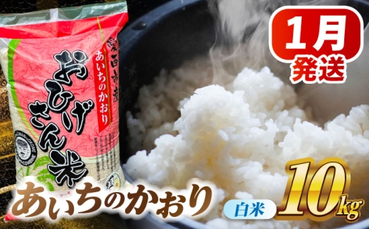 米 【1月発送】あいちのかおり 白米 10kg 米 お米 10kg 10キロ 白米 精米 新米 コメ ご飯 ごはん 愛知県産 国産 県産米 国産米 あいちのかおり 発送 時期 選べる 産地直送 30000円 3万円 令和7年 愛西市 / 脇野コンバイン [AECP002-4]