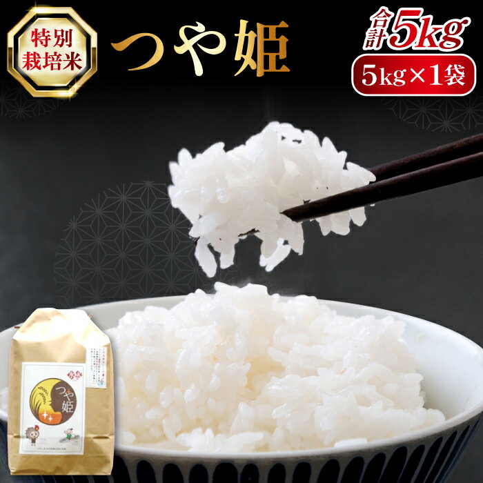 【ふるさと納税】 特別栽培米 氷感熟成 つや姫 5kg 島根県産 大田市産 米 石見銀山氷感つや姫 減農薬 減化学肥料 ごはん お弁当 おにぎり おむすび 特産品 お取り寄せ グルメ