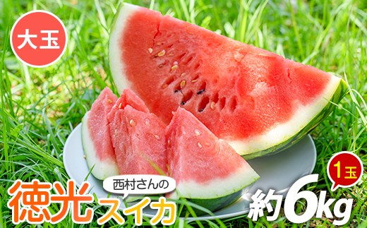 
                  【2026年5月下旬～順次発送】西村さんのこだわり徳光スイカ大玉1玉(中園久太郎商店/IB016-016) スイカ すいか 西瓜 果物 フルーツ 夏 旬 徳光スイカ 指宿スイカ
                