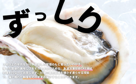 牡蠣 LLサイズ 7個 牡蠣