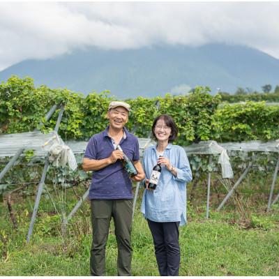 ふるさと納税 北栄町 辛口赤ワイン『富士の夢2016郷』【化粧箱入り】 |  | 03