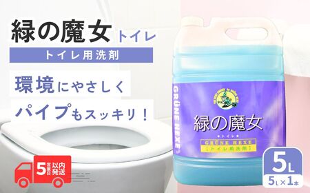 洗剤　緑の魔女トイレ5L×1本 | 洗剤 トイレ