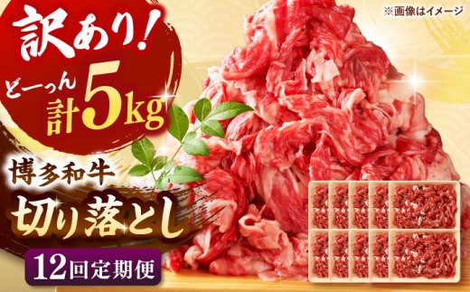 【全12回定期便】【訳あり】博多和牛 切り落とし 5kg(500g×10p）▼切り落とし 切落し 切り落とし肉 国産 定期便    桂川町/株式会社 MEAT PLUS [ADAQ131]