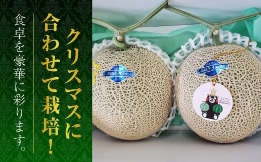 【先行予約】クリスマスメロン セット 【株式会社 前田ファーム】 [ZCM004]