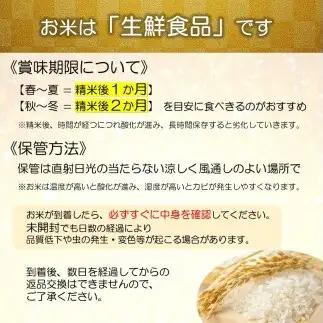 令和7年産 特別栽培米 つや姫 (精米) 20kg (5kg×4袋) 山形県南陽市産 米 白米 ご飯 農家直送 山形県 南陽市 [1660-A]