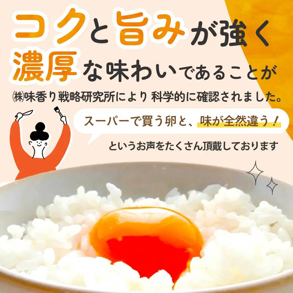のびのび育ち平飼い「有精たまご」卵30個 卵